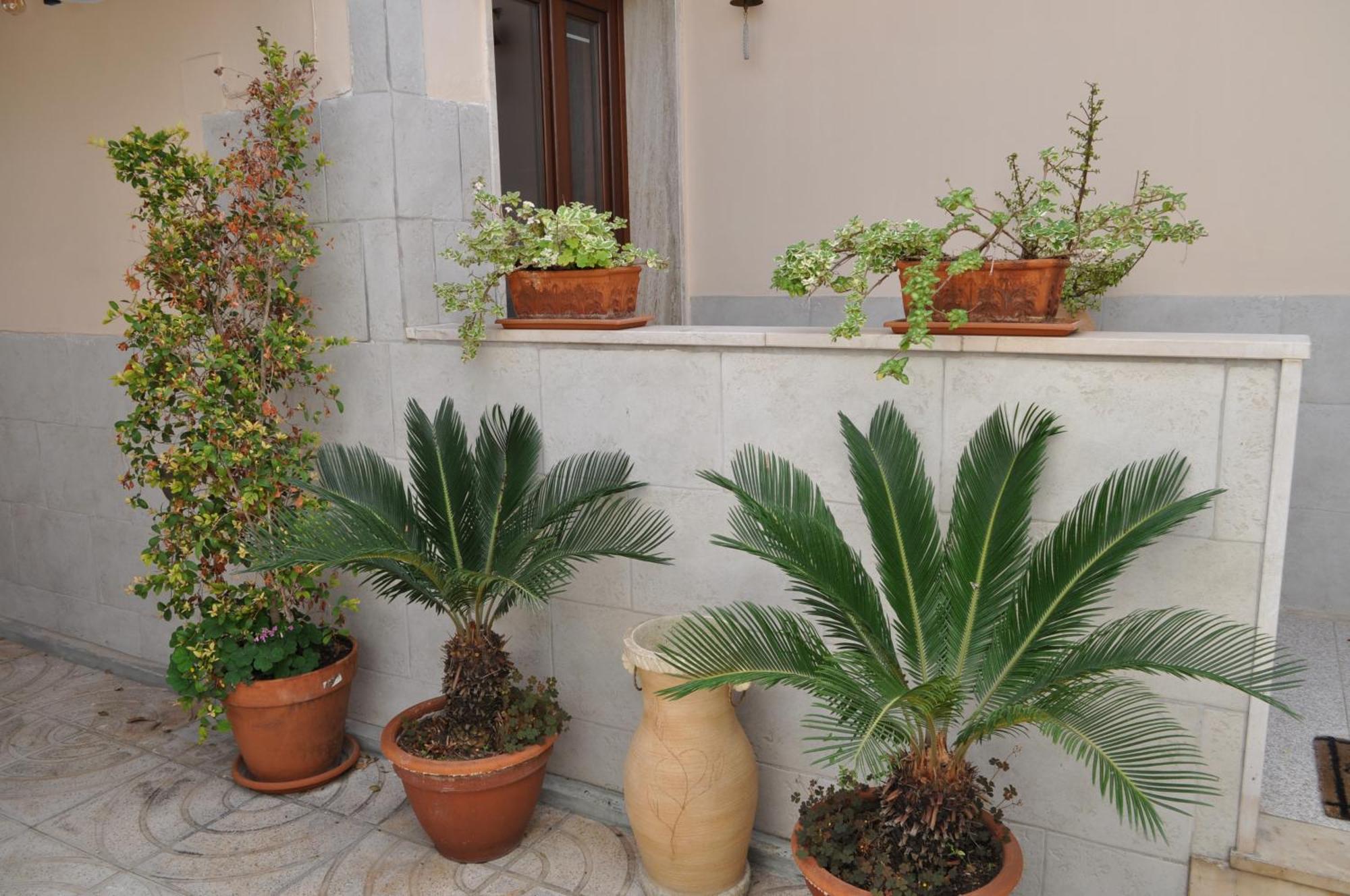 7 Contrade Bed & Breakfast Taranto Luaran gambar